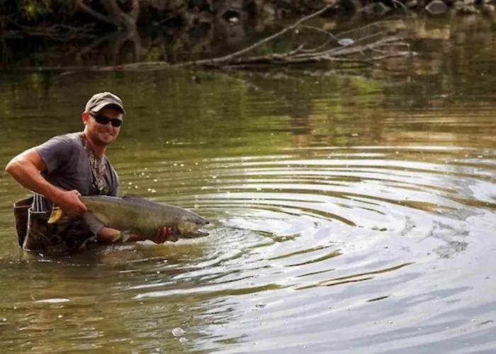 Traube Bis 1 - 4 Persparkplatz & Kueche Modern 카셀